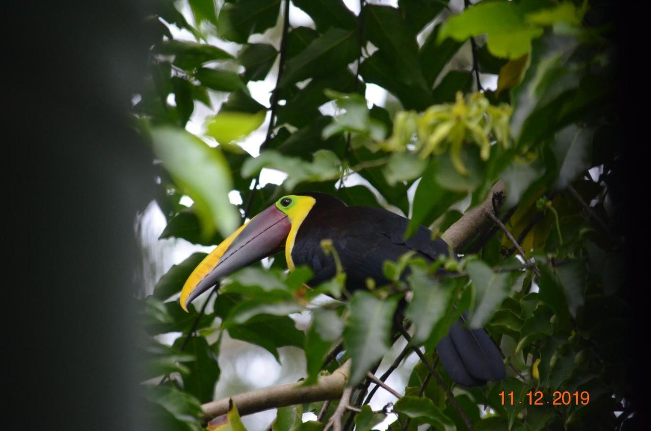 Mango Tree Villas Coronado Luaran gambar